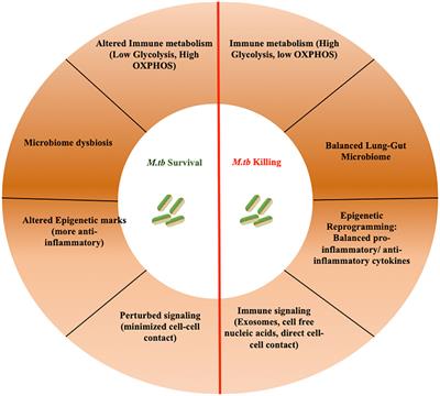 The uncharted territory of host-pathogen interaction in tuberculosis